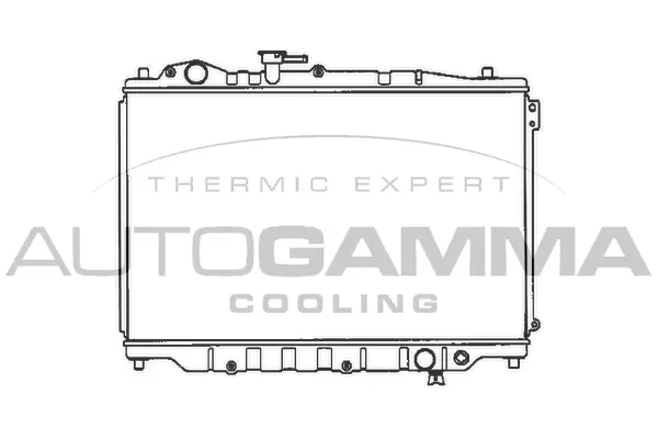 Radiator, engine cooling (100499)