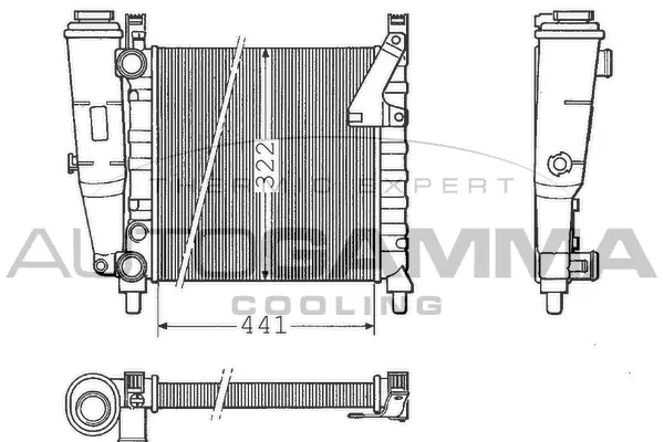 Radiator, engine cooling (100284)