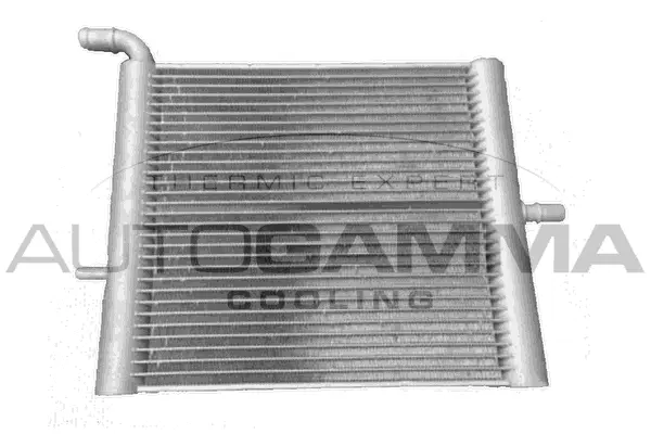Radiator, engine cooling (107687)