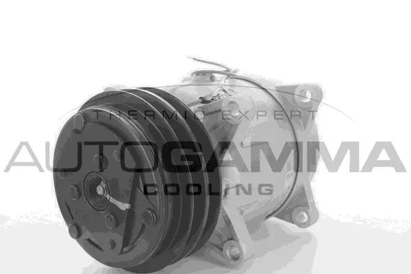 Compressor, air conditioning (109302)
