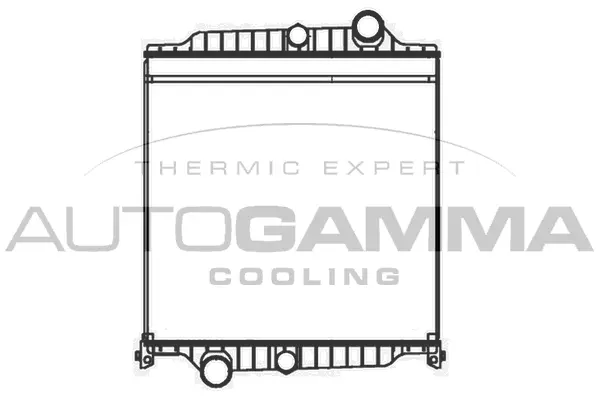 Radiator, engine cooling (405014)
