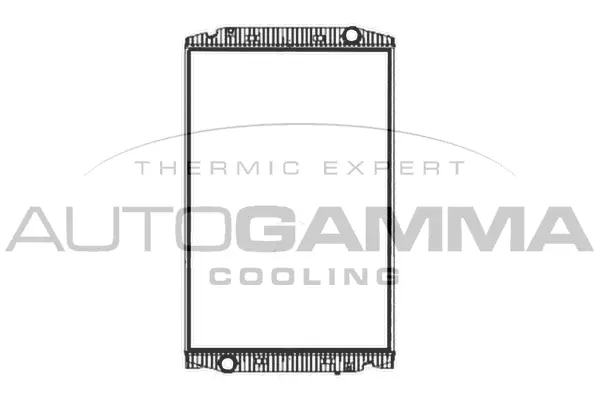 Radiator, engine cooling (404416)
