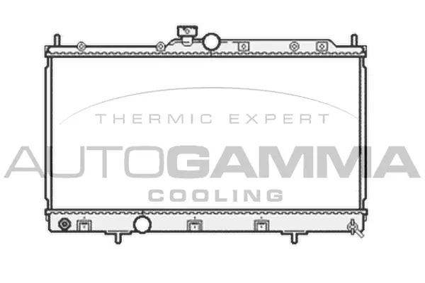 Radiator, engine cooling (104607)