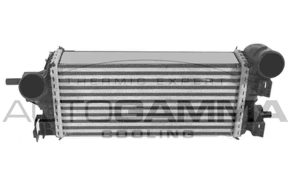 Charge Air Cooler (107705)