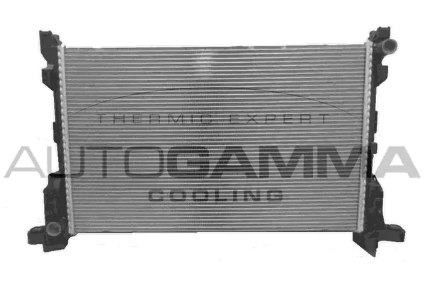 Radiator, engine cooling (107614)