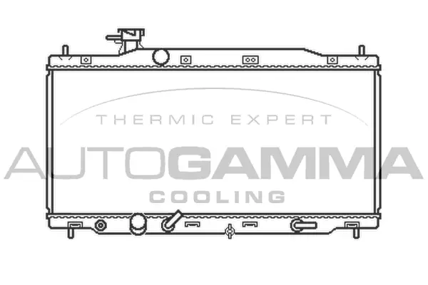 Radiator, engine cooling (105486)