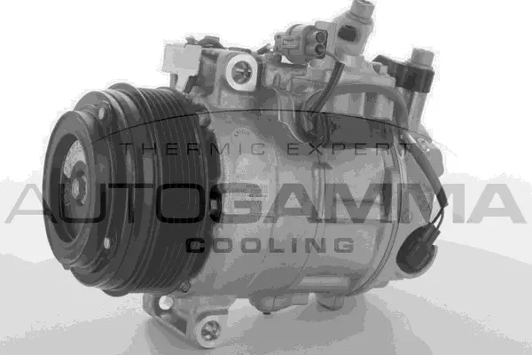 Compressor, air conditioning (118561)