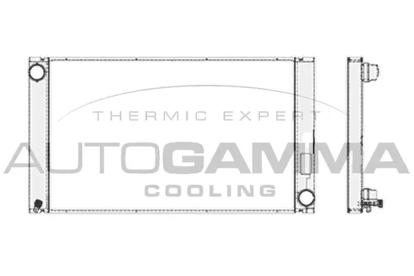 Radiator, engine cooling (103391)