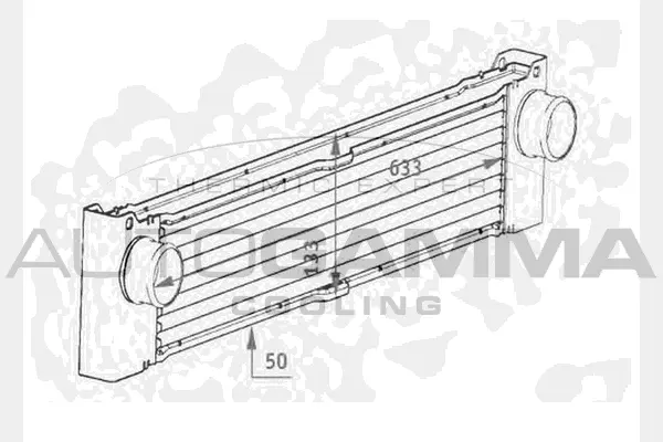 Charge Air Cooler (104489)