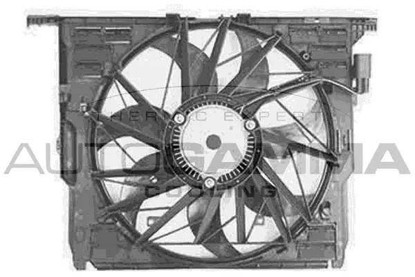 Fan, engine cooling (GA223019)