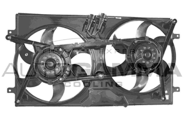Fan, engine cooling (GA221013)