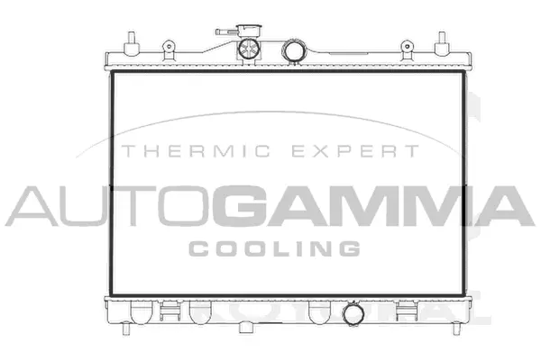 Radiator, engine cooling (107175)
