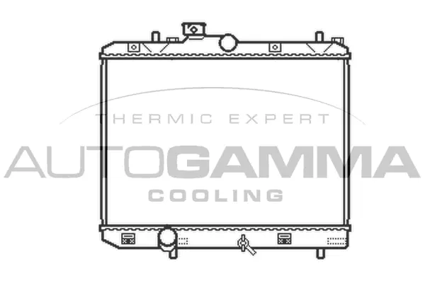Radiator, engine cooling (105493)