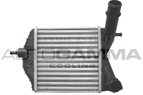 Charge Air Cooler (103605)