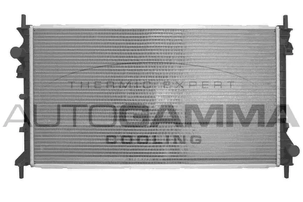 Radiator, engine cooling (103700)