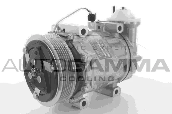 Compressor, air conditioning (118442)
