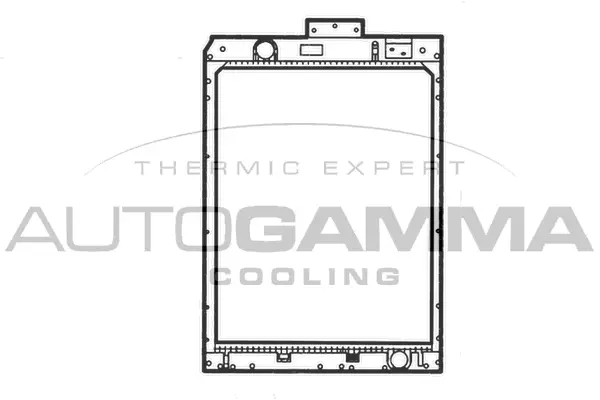 Radiator, engine cooling (404950)