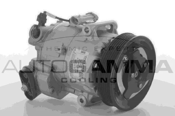 Compressor, air conditioning (108591)