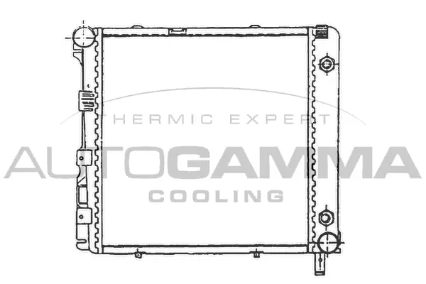 Radiator, engine cooling (100548)