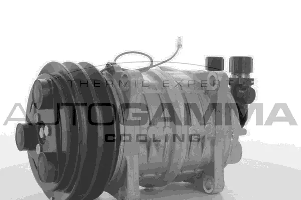 Compressor, air conditioning (109233)