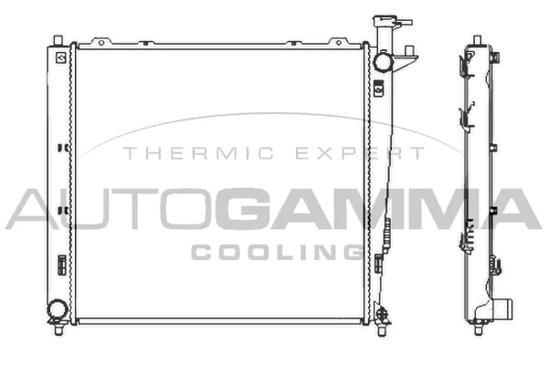 Radiator, engine cooling (107383)
