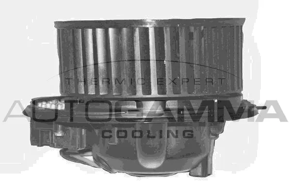 Interior Blower (GA20365)