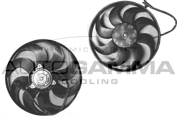 Fan, engine cooling