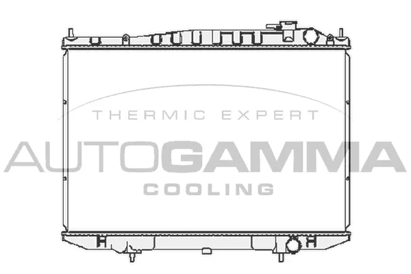 Radiator, engine cooling (105387)