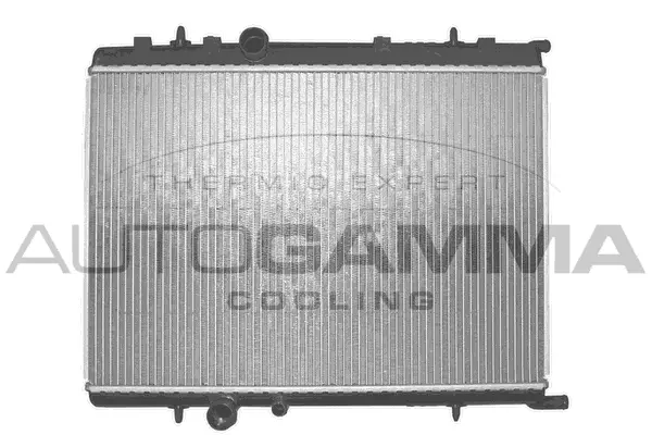 Radiator, engine cooling (103172)