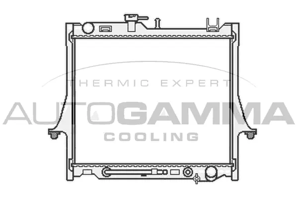 Radiator, engine cooling (107045)