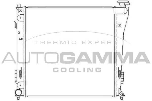 Radiator, engine cooling (105837)