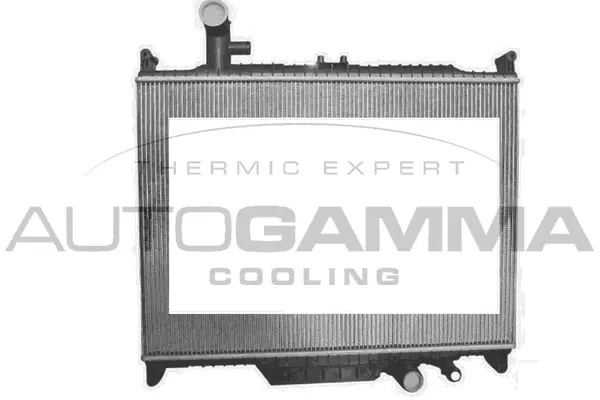 Radiator, engine cooling (107495)