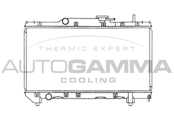 Radiator, engine cooling (101268)