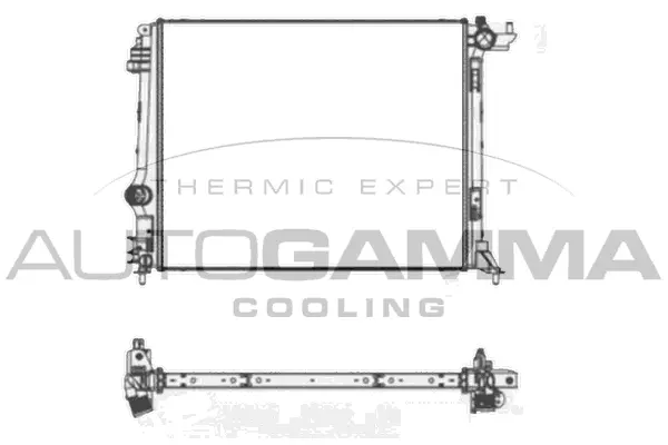 Radiator, engine cooling (107663)