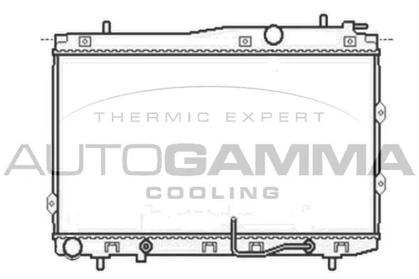 Radiator, engine cooling (104768)