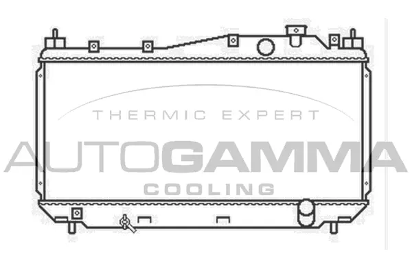 Radiator, engine cooling (103434)