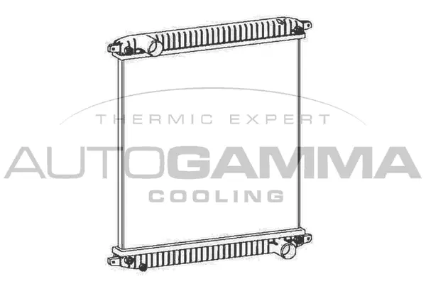 Radiator, engine cooling (404414)