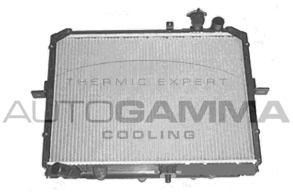 Radiator, engine cooling (105801)