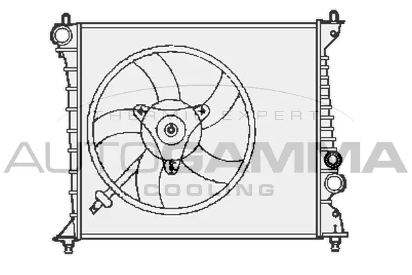 Radiator, engine cooling (102894)