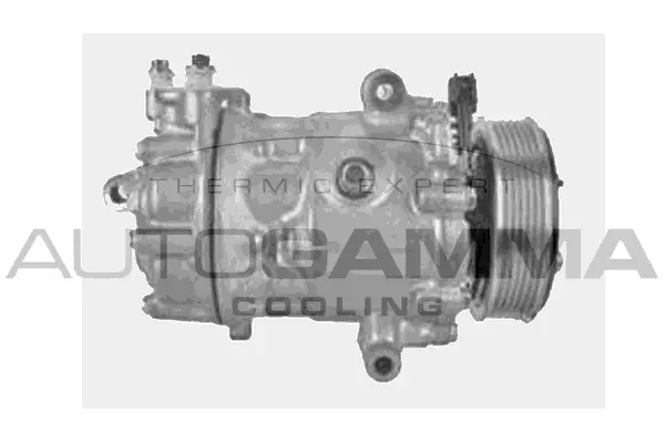 Compressor, air conditioning (118609)