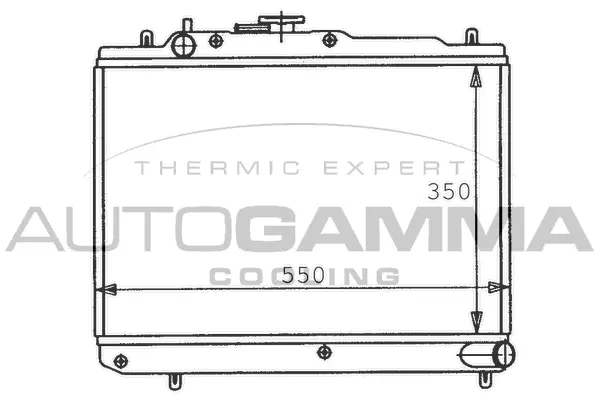 Radiator, engine cooling (100474)