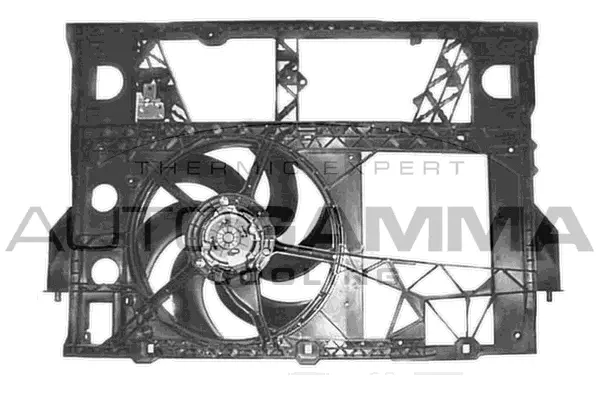 Fan, engine cooling (GA201246)
