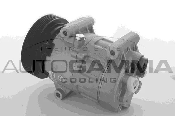Compressor, air conditioning (108561)