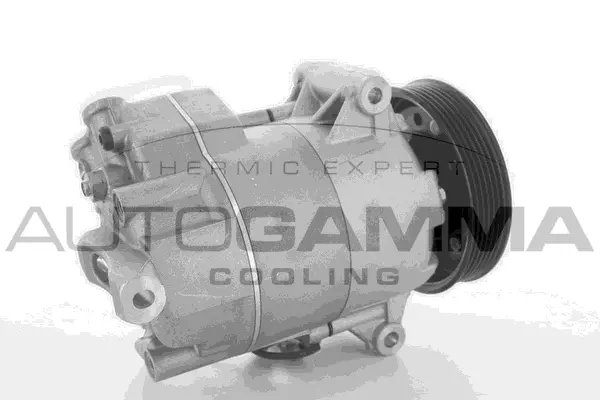 Compressor, air conditioning (108535)