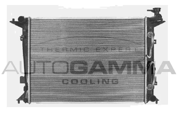 Radiator, engine cooling (107381)