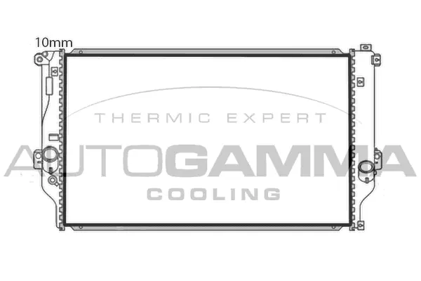 Radiator, engine cooling (107937)