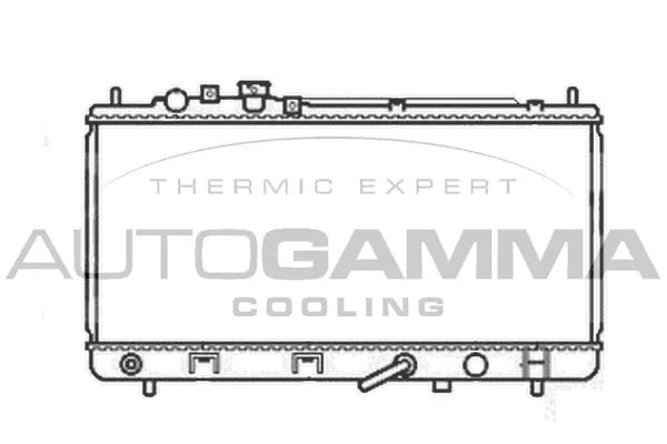 Radiator, engine cooling (105563)