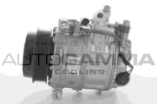 Compressor, air conditioning (118521)