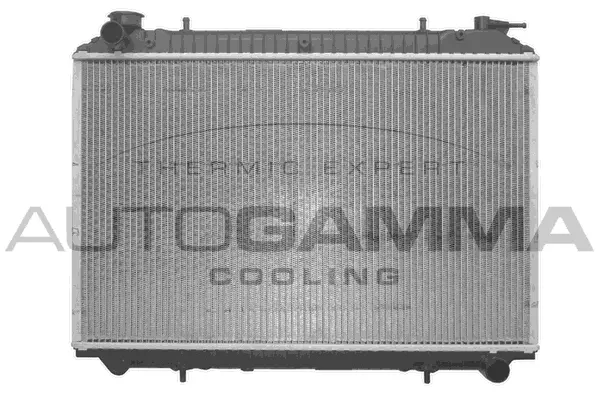 Radiator, engine cooling (102202)
