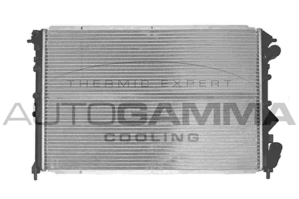 Radiator, engine cooling (100889)